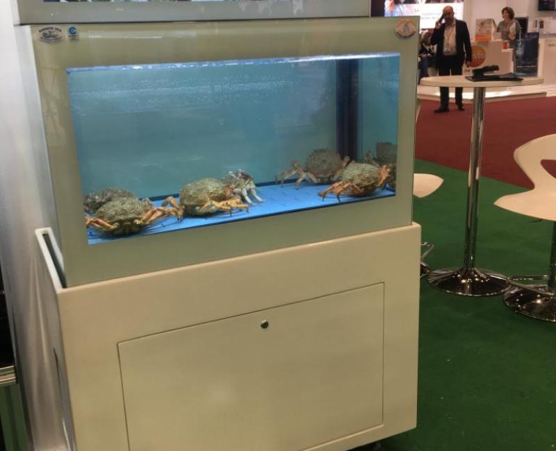 EQUIPO CON DOBLE ALTURA - Acuarios y Viveros de marisco Tecnomar